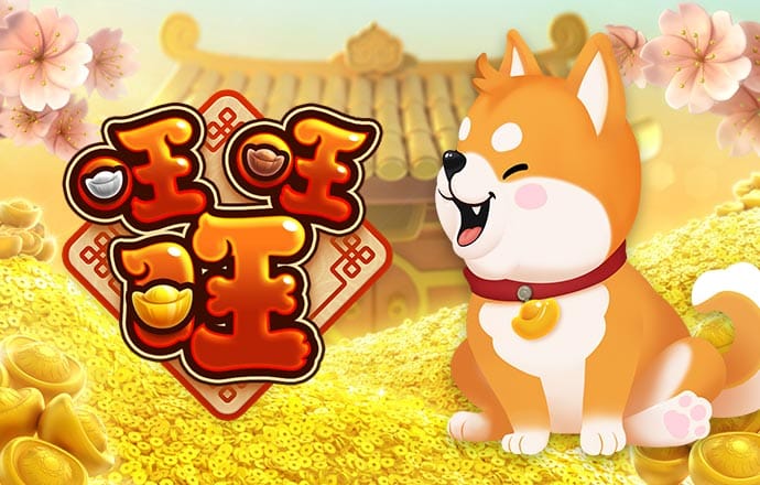 众赢国际app登录入口